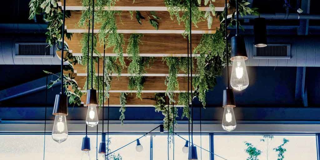 The Farmer's Daughter