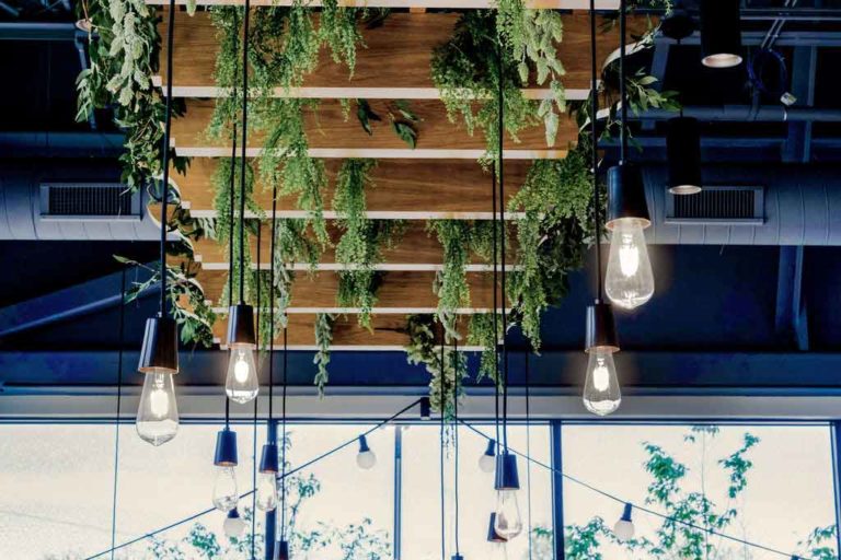 The Farmer's Daughter